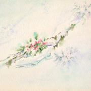 Titulo_bromelias_tecnica_acuarela_25_x35cm_card