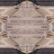 Stone_d_wm_card