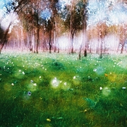 B1317588_029_1280_card