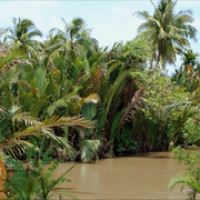 1010-wild_river_stalker_card