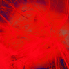 Tension_en_rojo_thumb