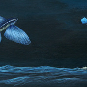 Liberta-apparenti_card