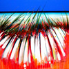 Marina_calabra_80x80_thumb