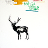 Deer_thumb