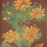 Img_0737_card