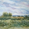 Sany2651_thumb