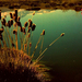 Norte_449_square