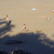 N506184126_52271_4574_1__card