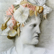 Cimg2524_card