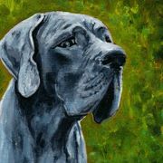 Ddogge018x_card