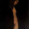 Aceo0761ladyinblack_thumb