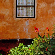 Orange_window2_card