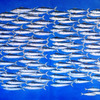 Rush_hour_-_gegen_den_strom__2000___thumb