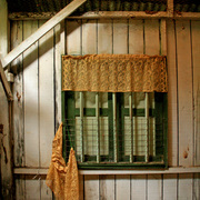 Window_card