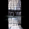 Les-croisements-fertiles_-2_thumb