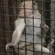 Img_8525_card
