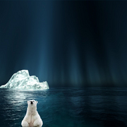 1011-alone_in_the_dark_card