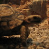 Img_8552_thumb