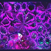 Pink-jesus-2223451_card