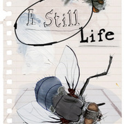 24_card