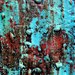 Dsc07015_square