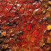 Dsc06979_square