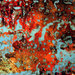 Dsc06997_square
