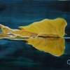 The_floating_dream_thumb