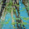 The_reflections_of_life_thumb