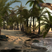 1013-florida_beach_drama_card