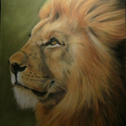 Lion_card