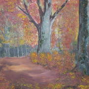 Picture_029_card