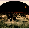 The_nightwatch__arch__11w72_rgb_copy_thumb