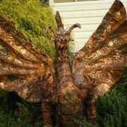 2007-11-18_04-36-23_0001_resize_card
