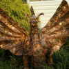 2007-11-18_04-36-23_0001_resize_thumb