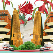 Free-world_card