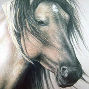Mustang_edited_card