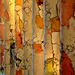 Pic_9994748_0241965_1__square