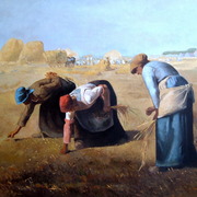 Spigolatrici_millet_card