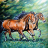 Galloping_thumb