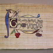 Man_fruits_card