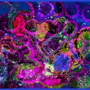 Snailz-den--nebula-krabb-22_card