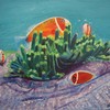 Poissons_clowns_australie_06_2008_thumb