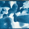 Digitalizar0024_thumb