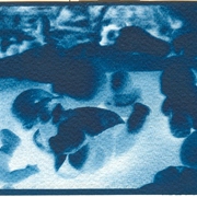 Digitalizar0025_card