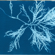 Digitalizar0035_card