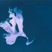 Digitalizar0041_card