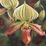 Lady_silppers_20x20_2006_card