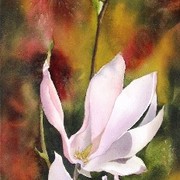 Magnolias__12x28_2006_s_card