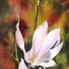 Magnolias__12x28_2006_s_thumb